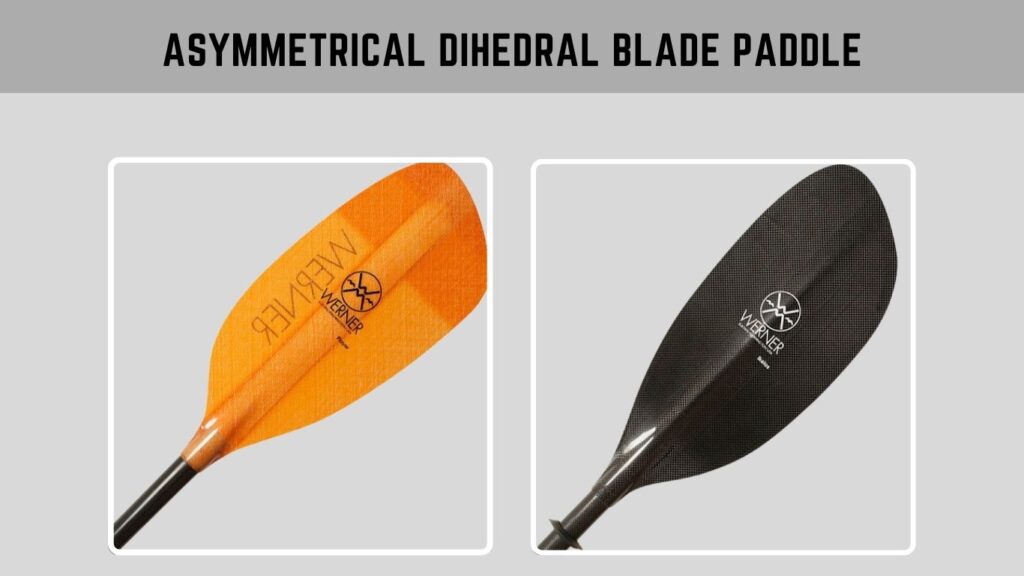 Asymmetrical Dihedral Blade Paddle