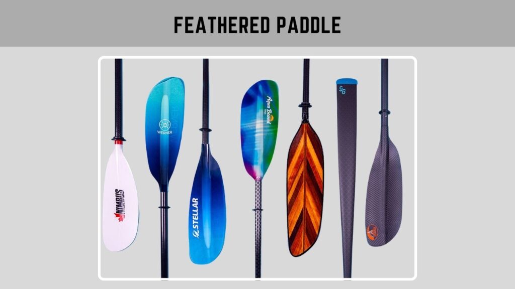 Feathered Paddle