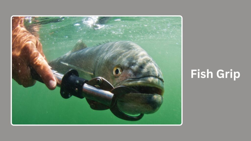 Fish Grip