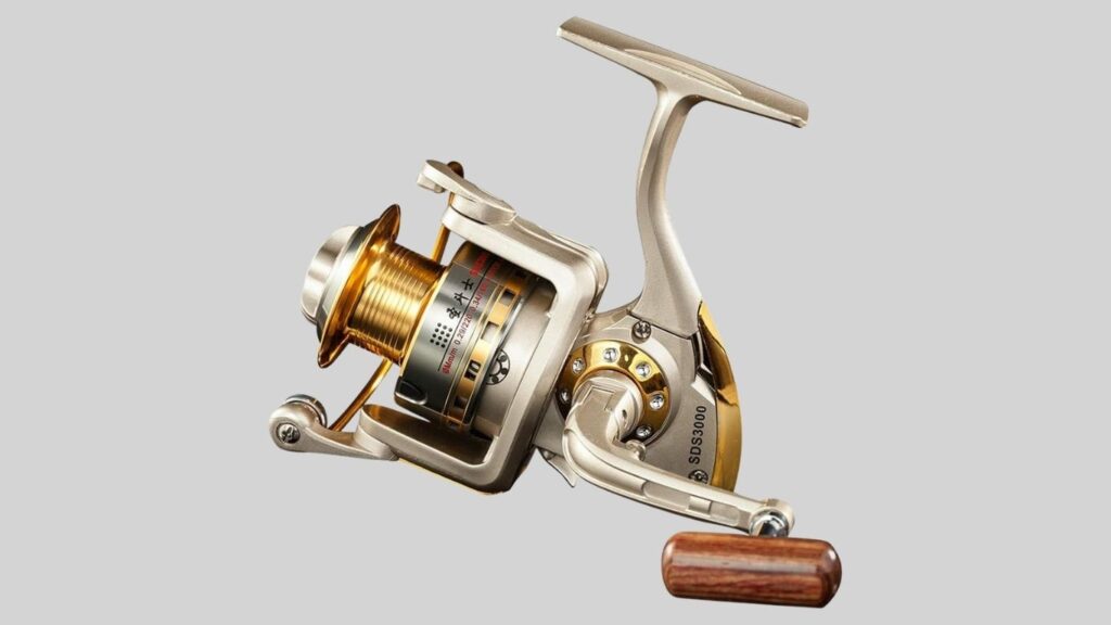 Diwa SDS Series Spinning Reel – Budget-Friendly Versatility for Freshwater & Light Saltwater