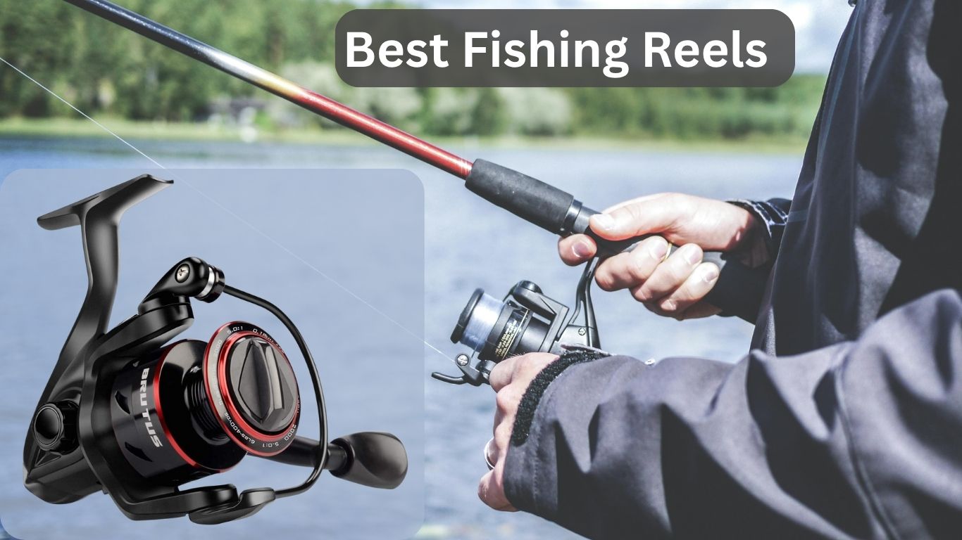 Best Fishing Reels for Smooth