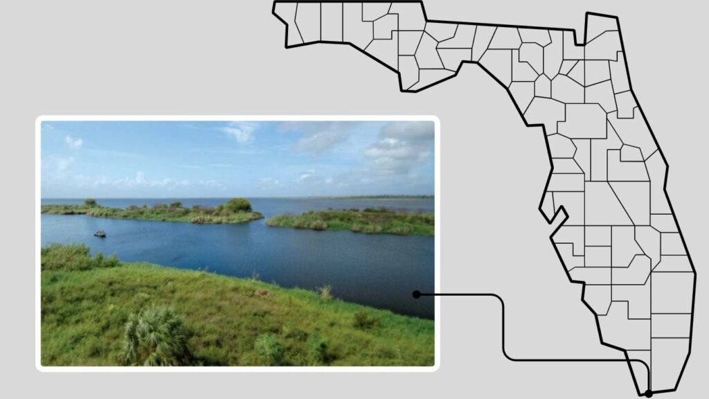 Best Fishing Spots in Florida