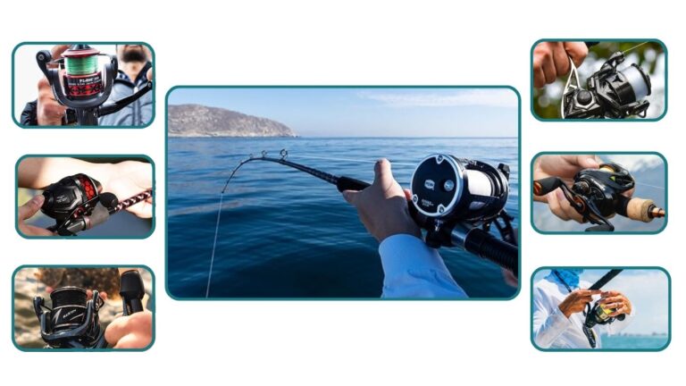 Best 27 Saltwater Reels  in 2025: Reviews and Guide