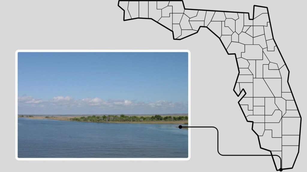 Best Fishing Spots in Florida
