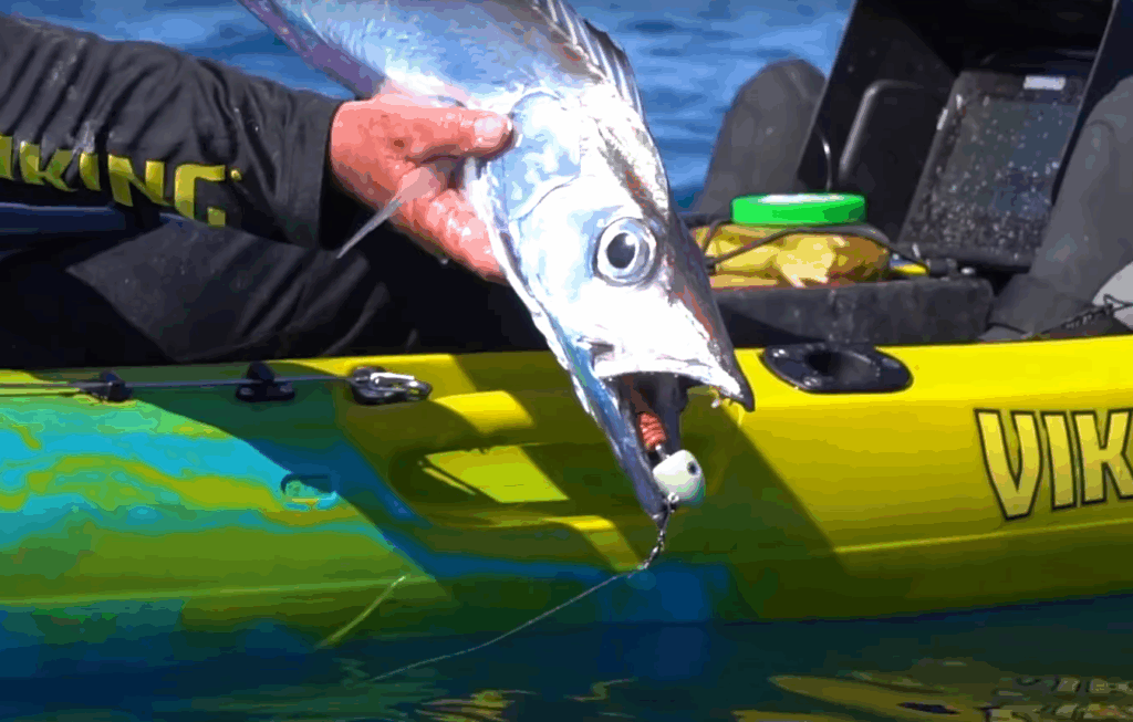 How to Take Preparation for Deep Sea Fishing with a Kayak