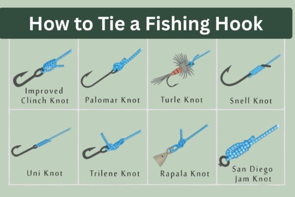 How to Tie a Fishing Hook: Step-by-Step Guide for Beginners 