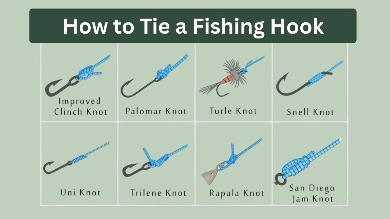 How to Tie a Fishing Hook: Step-by-Step Guide for Beginners 